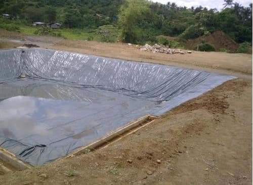 Nakuru Fish Pond Development