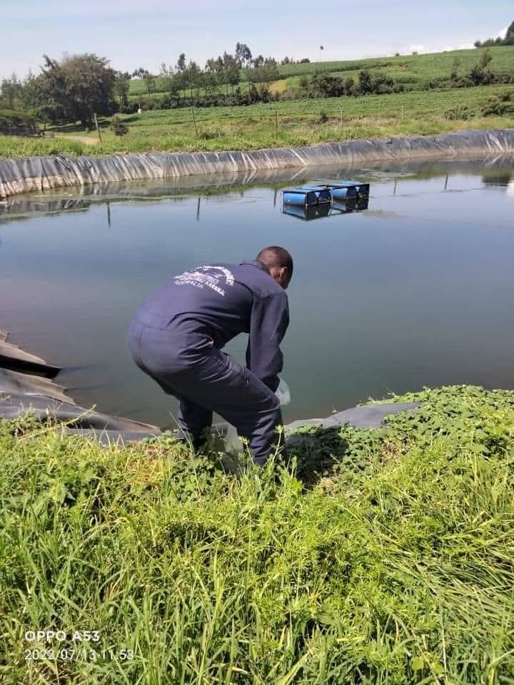 Kisii Community Fish Farming Cooperative