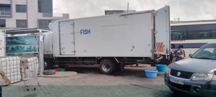 Fish transport truck