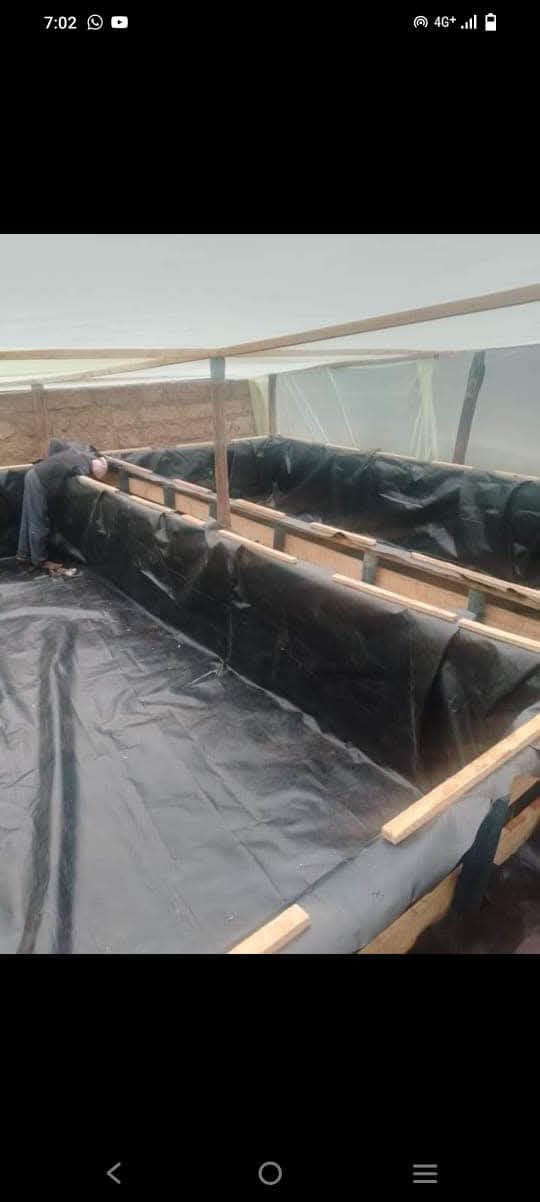 Murang'a Greenhouse Aquaponics