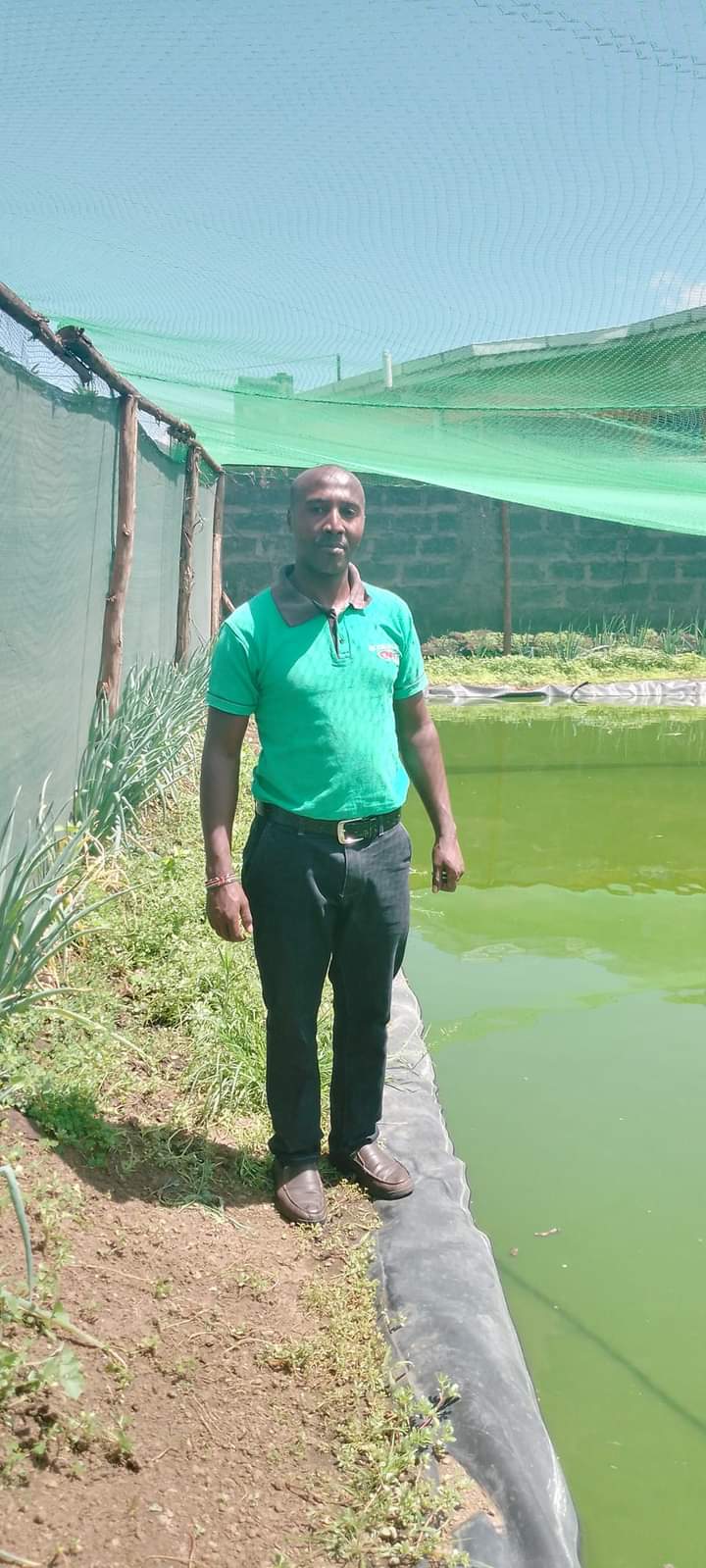 Aquaculture greenhouse