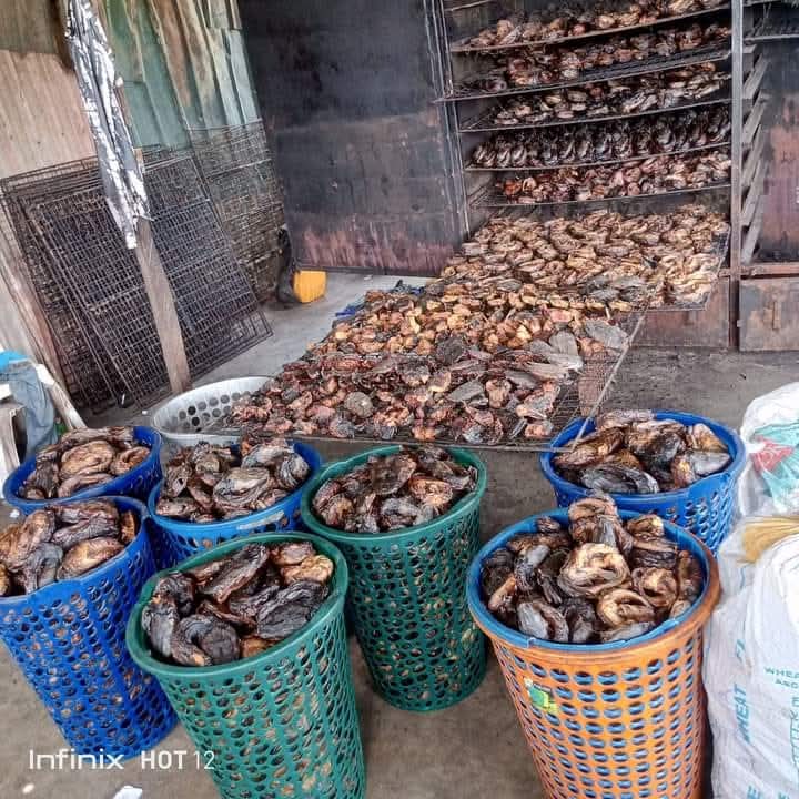 Shell fish processing