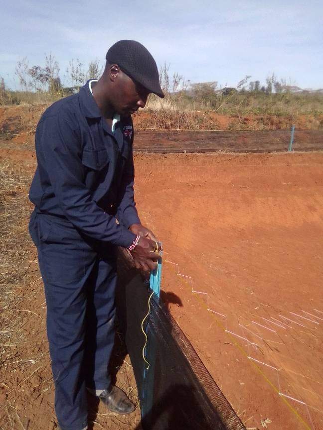 Drip line installation
