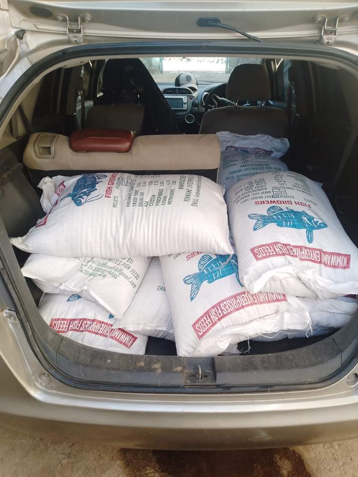 Fish feed bags transported